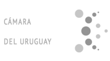 Camara Audiovisual del Uruguay